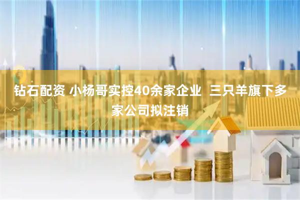 钻石配资 小杨哥实控40余家企业  三只羊旗下多家公司拟注销