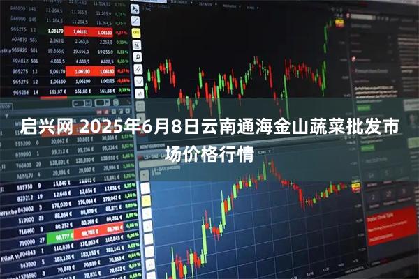 启兴网 2025年6月8日云南通海金山蔬菜批发市场价格行情