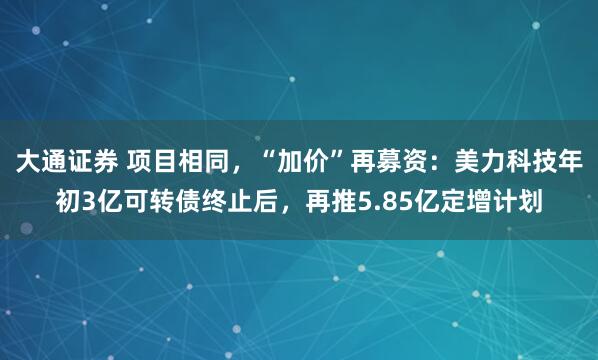 大通证券 项目相同，“加价”再募资：美力科技年初3亿可转债终止后，再推5.85亿定增计划